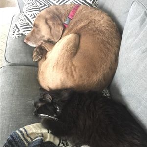 Meet your Posher, Elizabeth